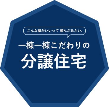 一棟一棟こだわりの分譲住宅​